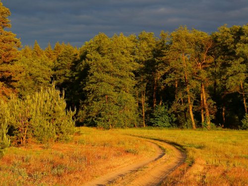Курская область, Беловский район
