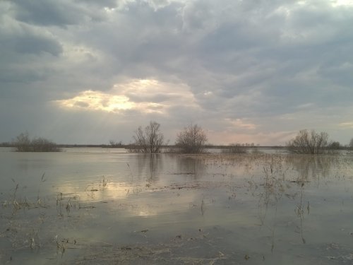 На великих разливах
