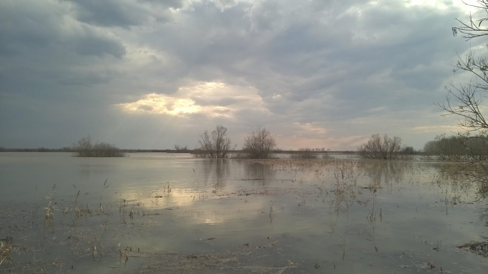На великих разливах