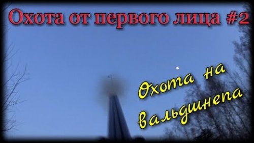 Охота от первого лица #2. Охота весной на тяге вальдшнепа. Охота с русским спаниелем.