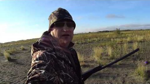 Охота на гуся. Казарка осень 2016.Goose Hunting.
