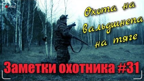 Охота на вальдшнепа весной на тяге. Заметки охотника #31. Первый добытый вальдшнеп.