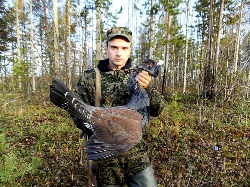 Мой самый большой глухарь.