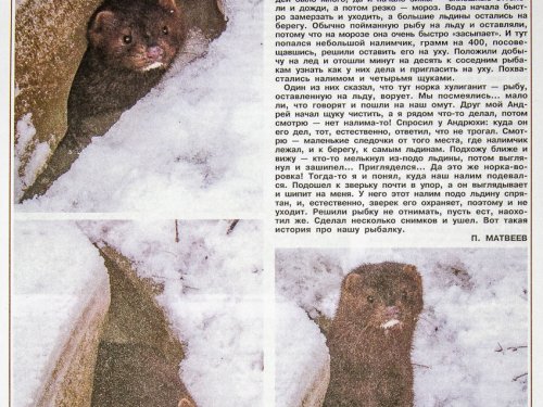 Приятно,очень приятно видеть свой маленький рассказ в своем самом любимом журнале "Охота и охотничье хозяйство". )