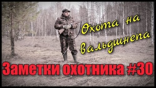 Охота на вальдшнепа на весенней тяге. Заметки охотника #30.