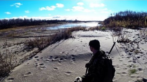 Охота на утку, дичь с подхода осенью. Ружье МР-155