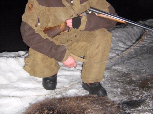 бобр
