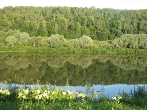 Река, зеркало природы