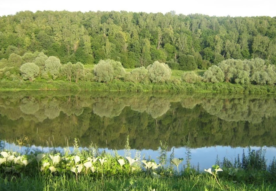 Река, зеркало природы