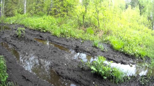 маленько  болотной грязи на КАРАКАТЕ