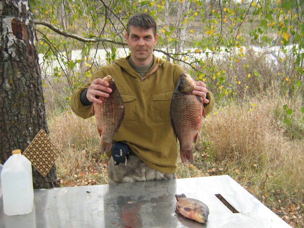караси