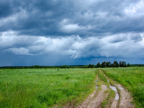 Перед грозой.