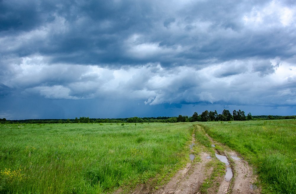 Перед грозой.