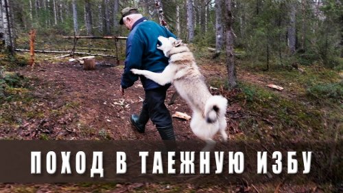 Поход в лес. В таёжную избу.