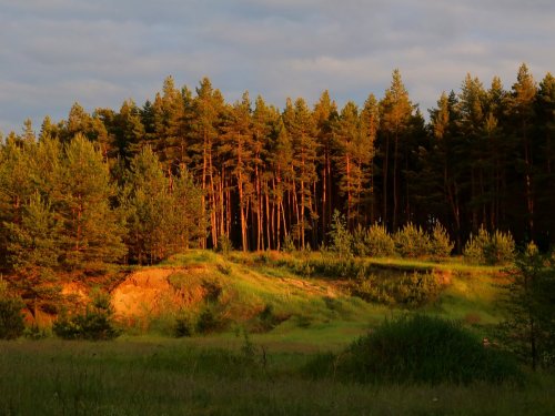 Курская область, Беловский район