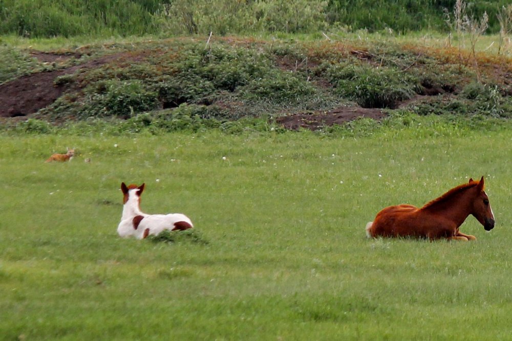 Загараем