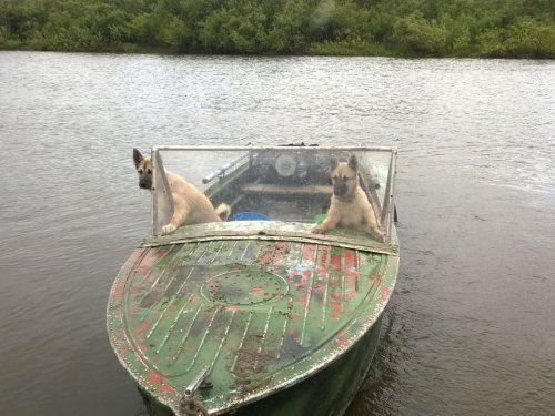 Два капитана)