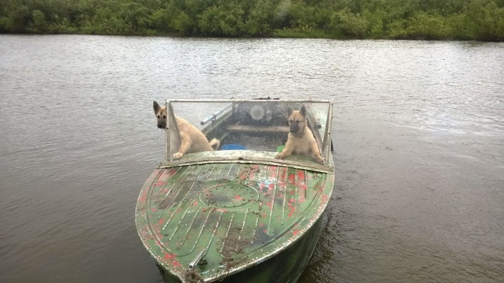 Два капитана)