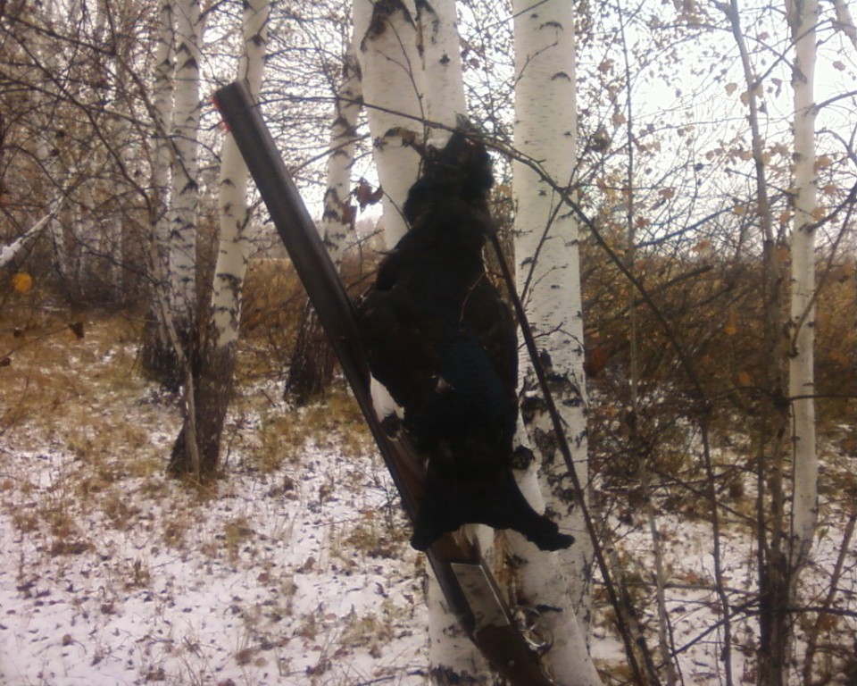Осень(поздняя).