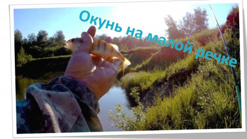 Ловля окуня на малой реке
