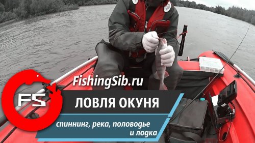 Ловля окуня на спиннинг. Июнь 2017