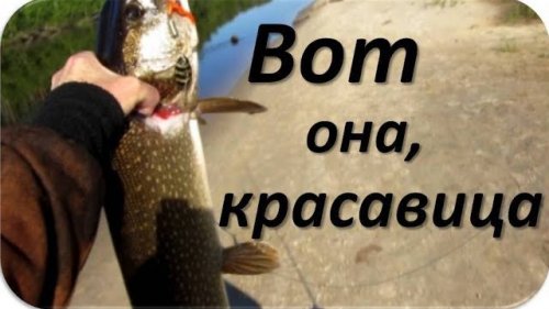 Рыбалка в кайф.
