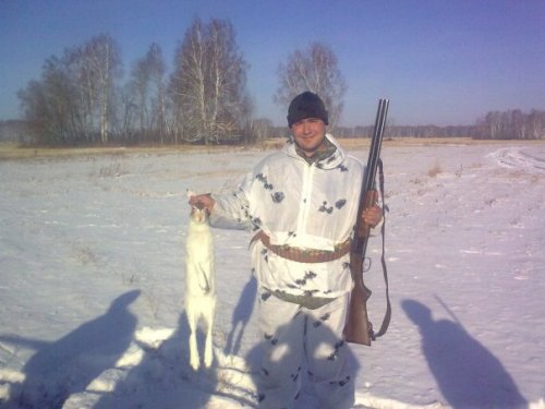 Архив