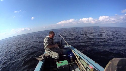 Отличная рыбалка в губе Белого моря.