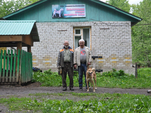 Чувашская станция испытания собак