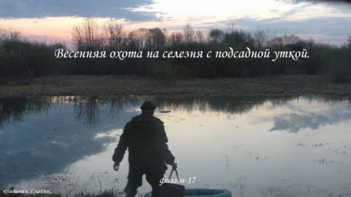 Весенняя охота на селезня с подсадной уткой.17.