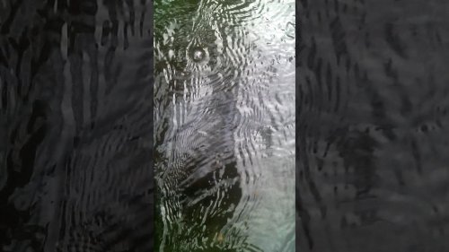 вид с воды