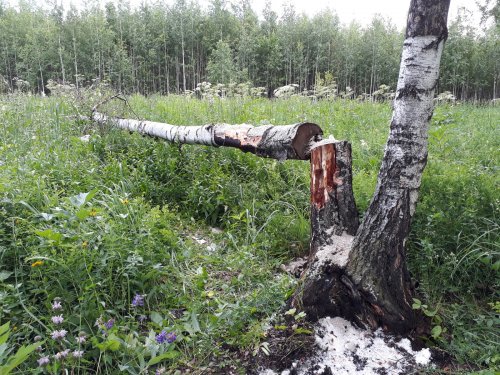 Прогулка по родным местам!часть 2