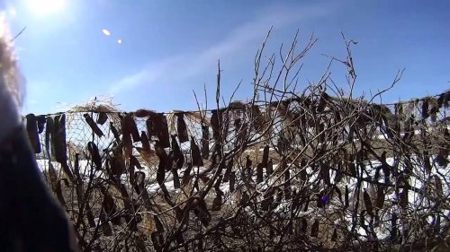 Охота на гуся 2016 в НАО. Goose Hunting.