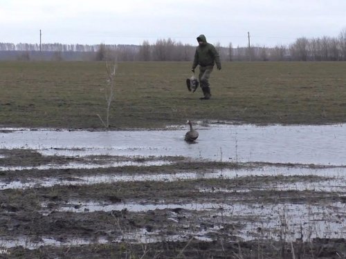 Одного взяли.