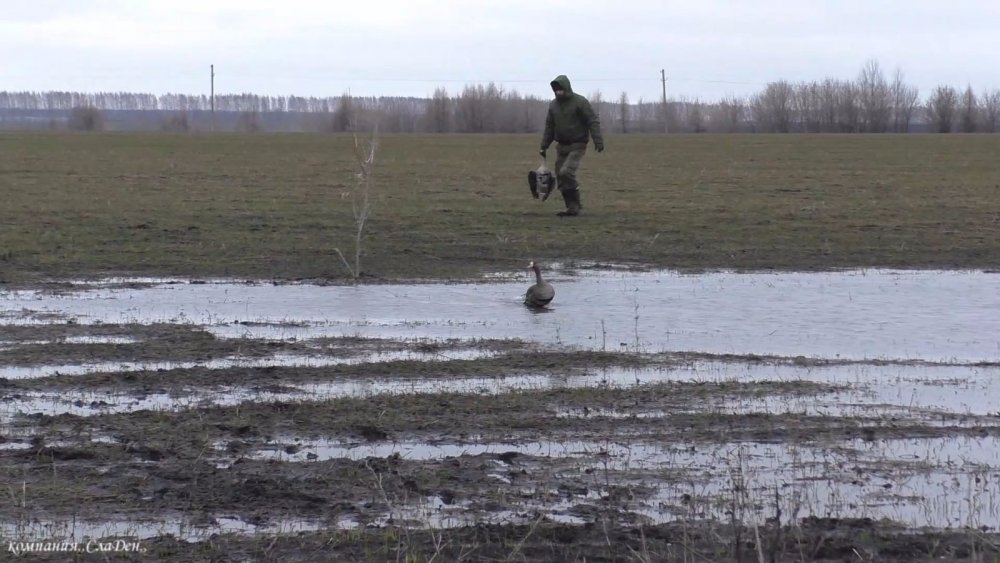 Одного взяли.