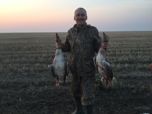 Вальдшнеп бройлерный