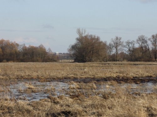 Весна 2010 года. Белгородская область