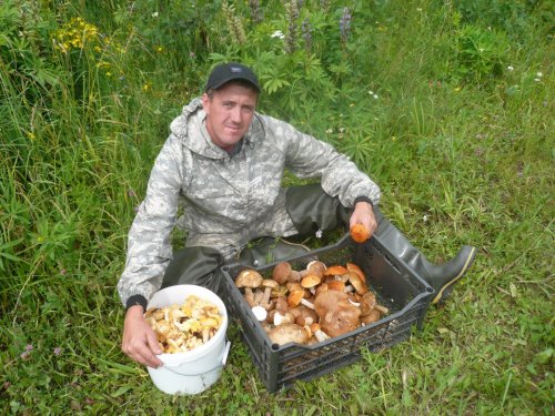 Немного погулял по лесу