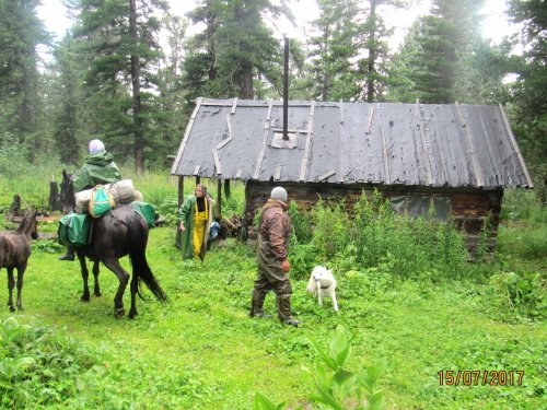 Изба