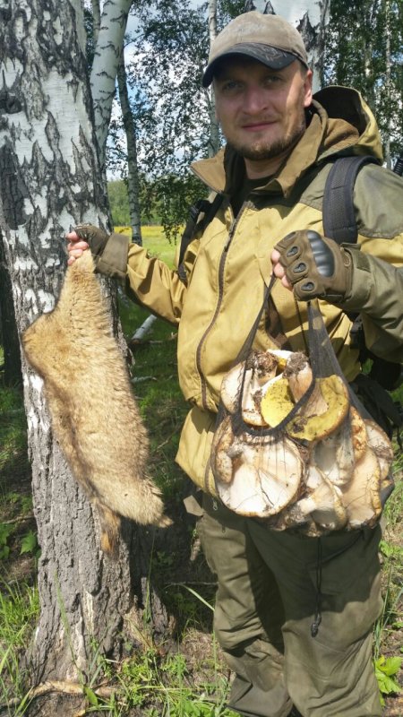 2 в 1 :и гарнир и мясо )) (комент к отчету)