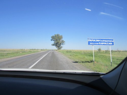 Гусиными "тропами"...