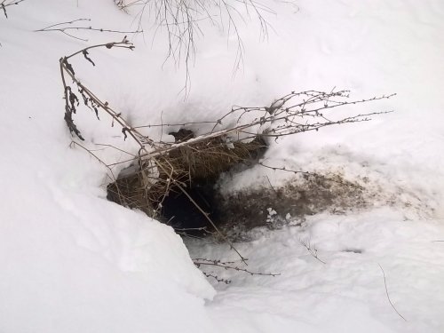 вылаз