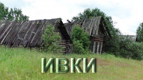 Заброшенная деревня Ивки. Улица домов и что в них осталось.