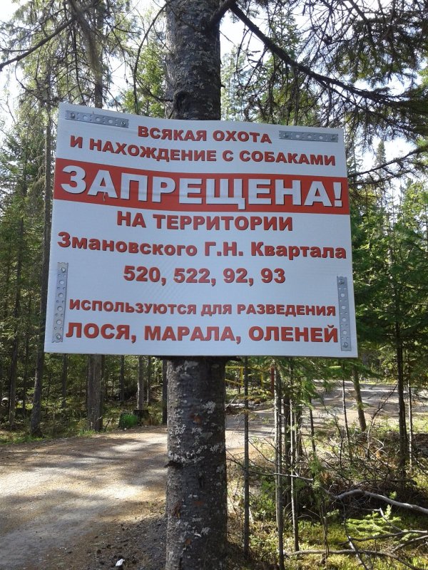 И такое бывает
