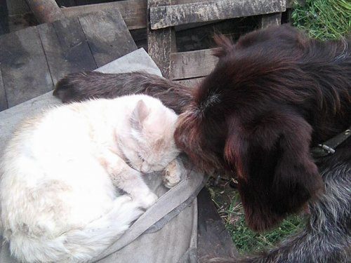 Обнимашки)