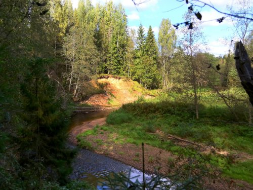 Река Волма, Новгородская область