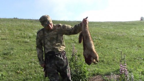 Охота на сурка с Карабином Вепрь-308!!! Два незабываемых выстрела!!!