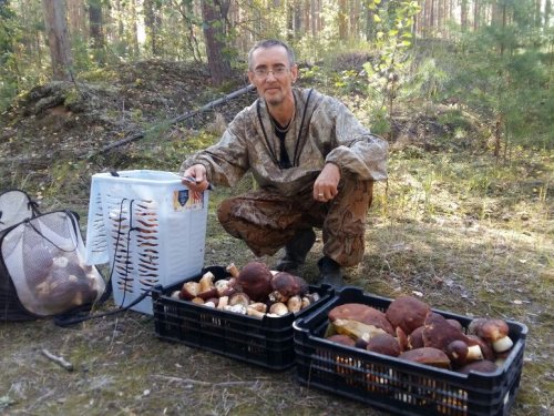 Накосили с товарищем :)