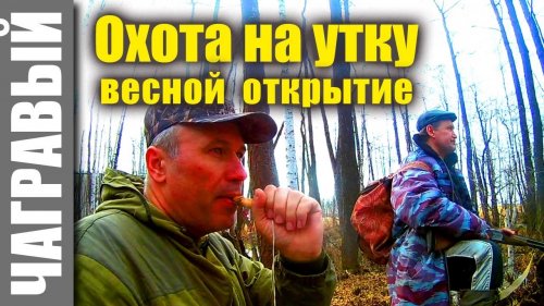 Продуть манки… В преддверии открытия утиной охоты