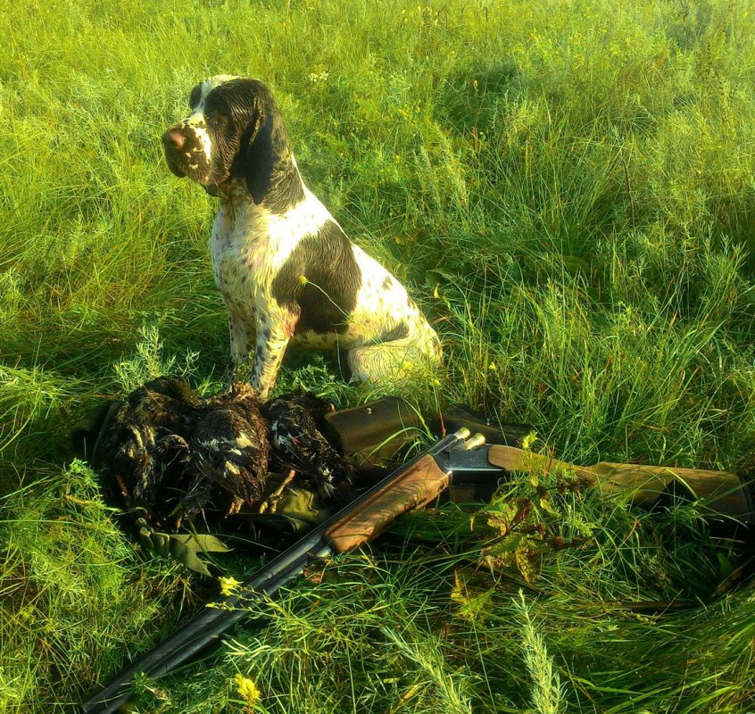 АСС Зип